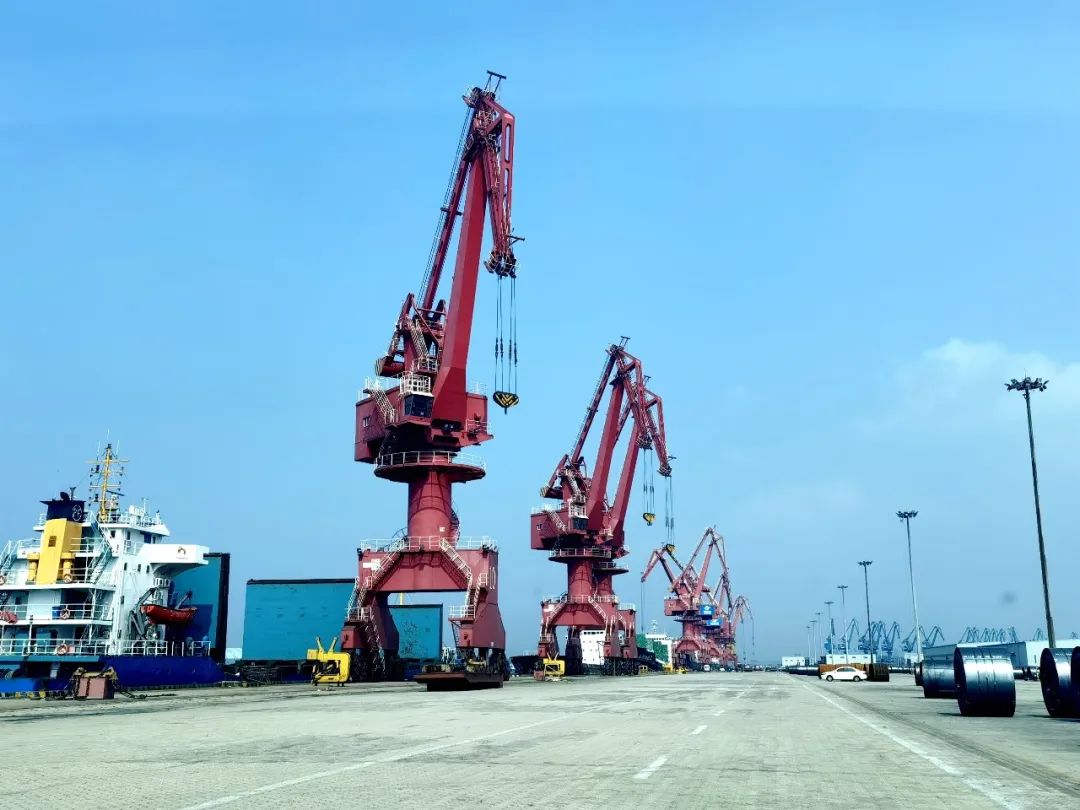 【地瓜經(jīng)濟(jì)專題】浙商中拓：讓“地瓜經(jīng)濟(jì)”藤廣根壯